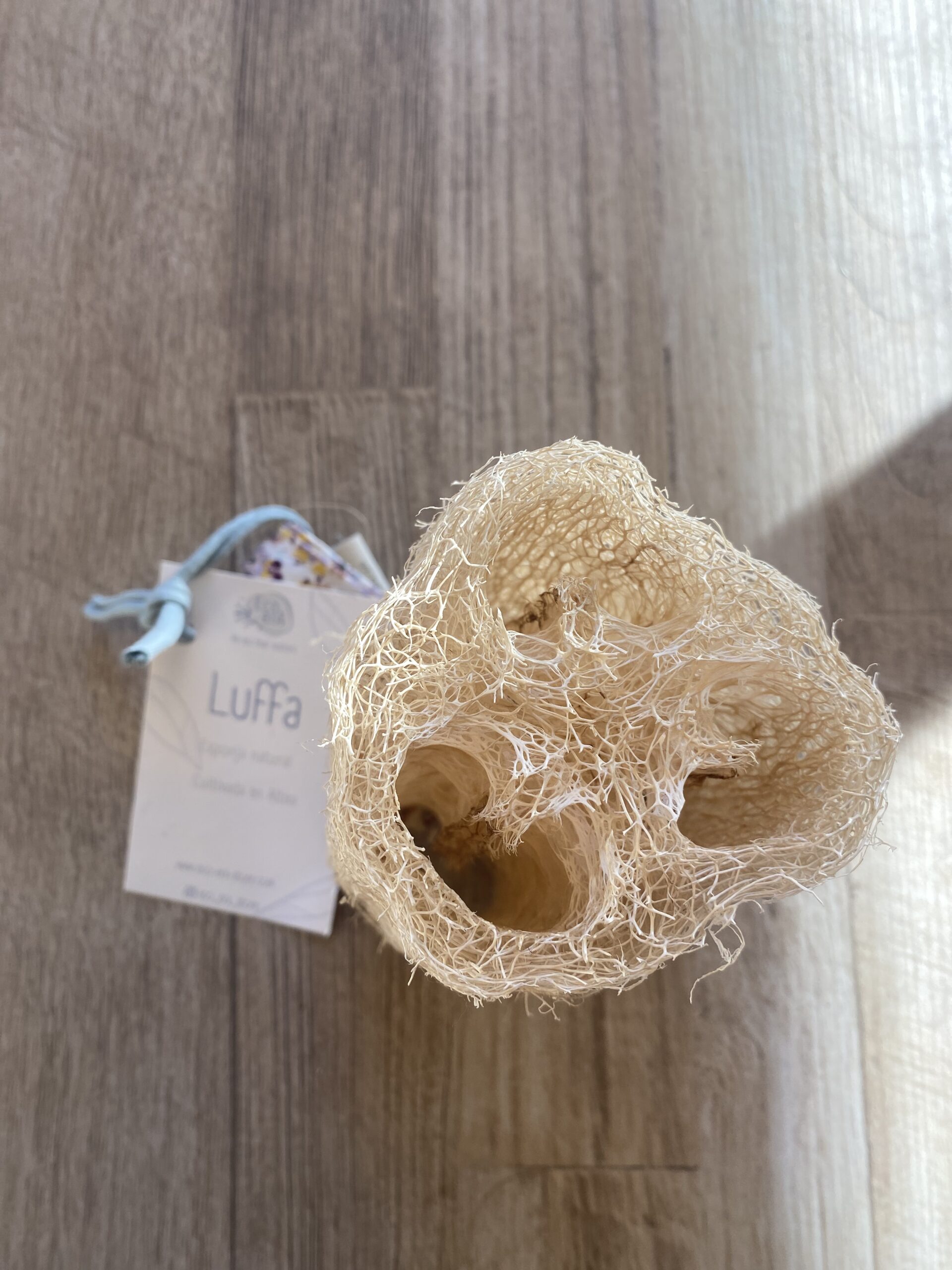 Luffa groot
